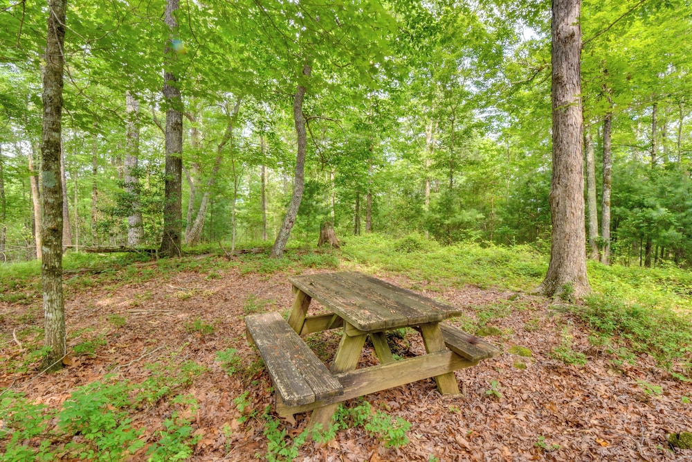 6 Miles to Helen: Cabin w/ Hot Tub & Views!