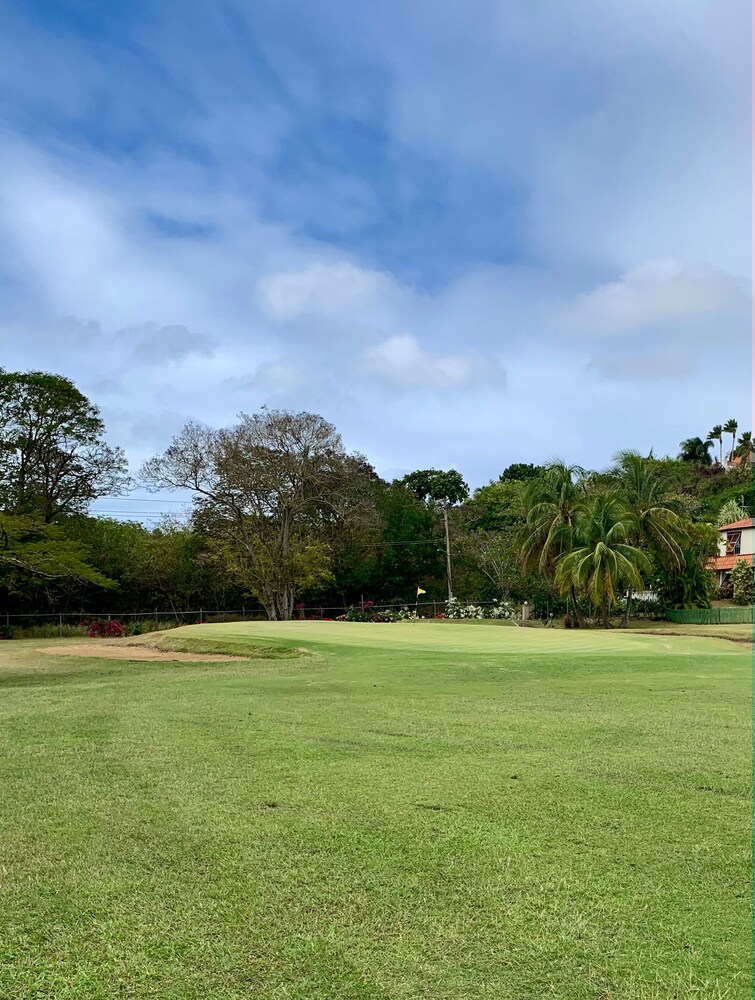 Moonshine 316 Rockley Golf Club