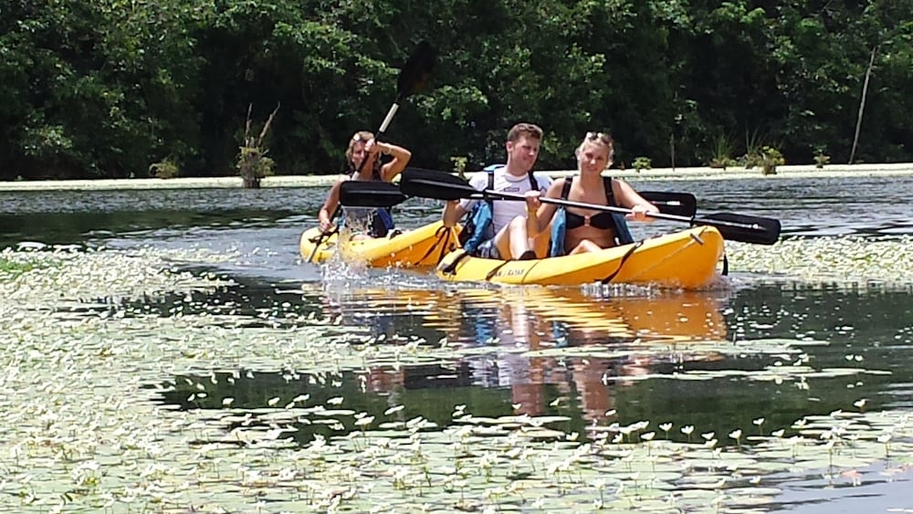 Mayan World Adventures