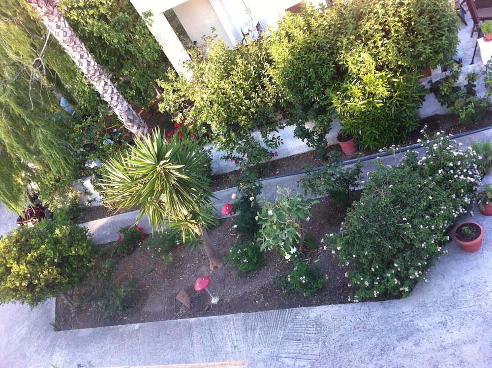 Photo 23