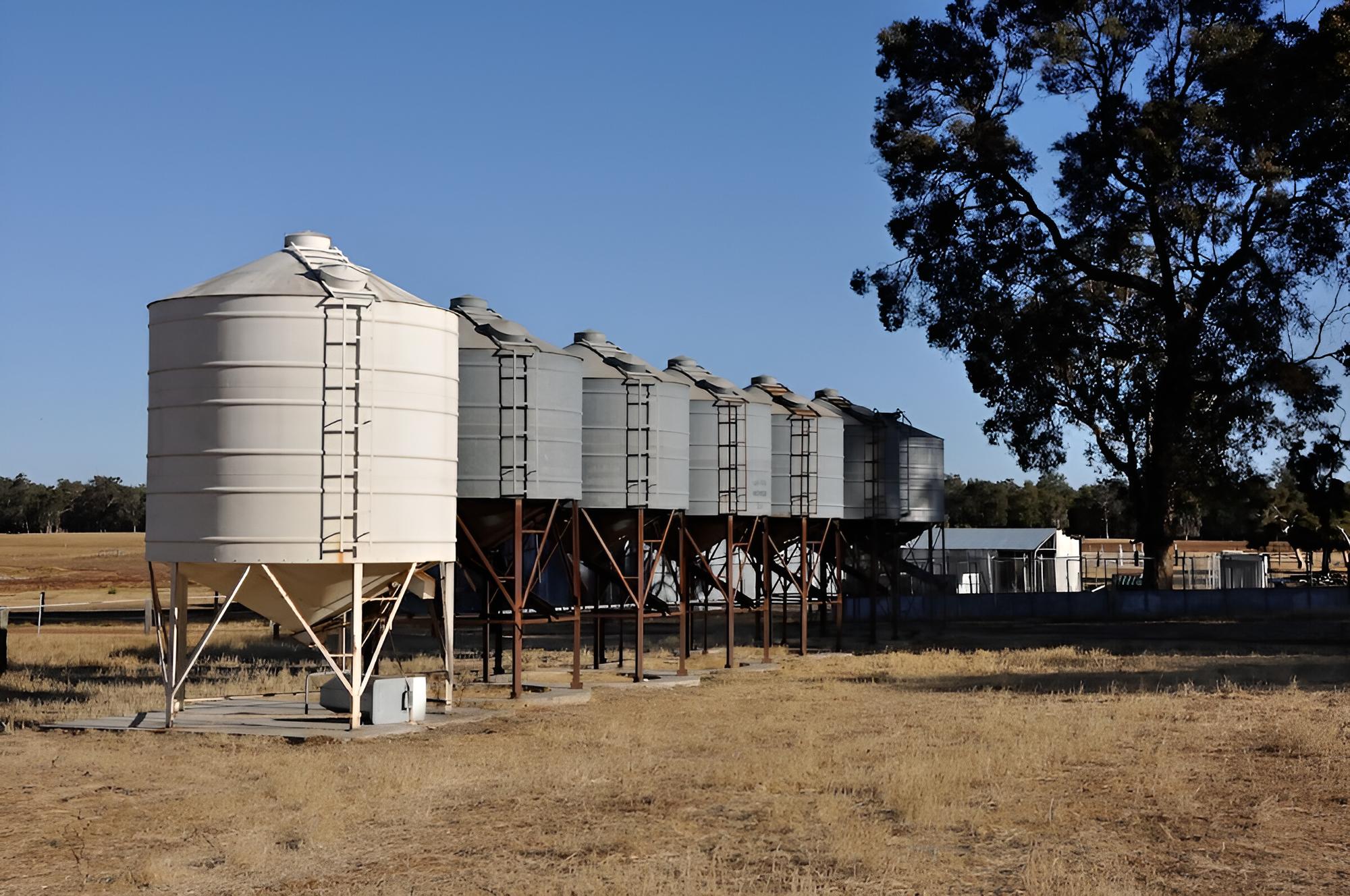 Wilga Farm Stay