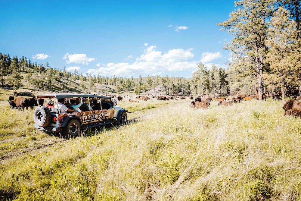 State Game Lodge at Custer State Park Resort
