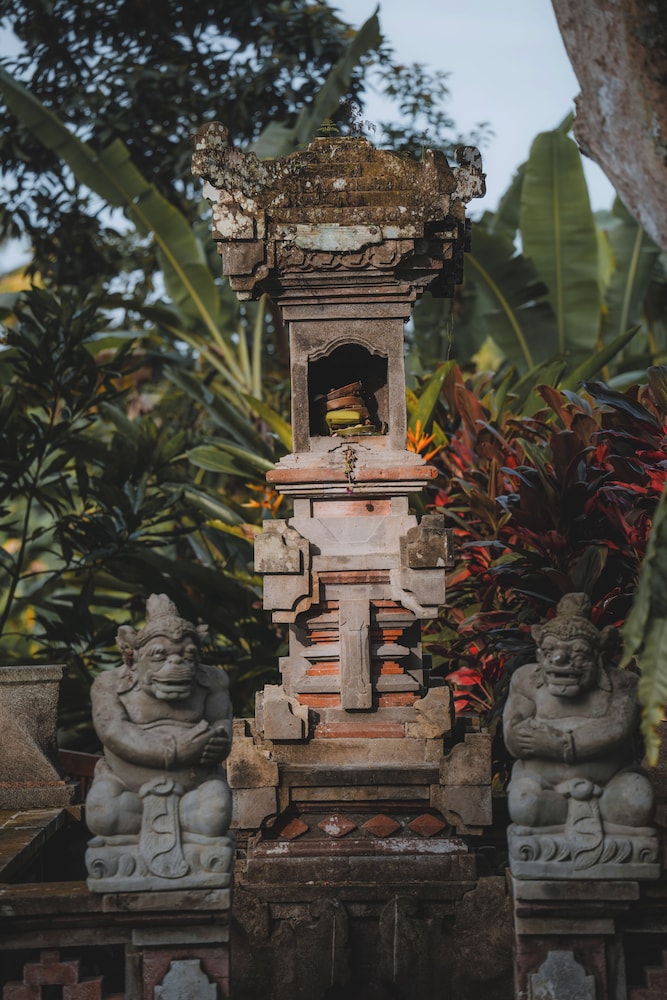 Om Wellness Resort