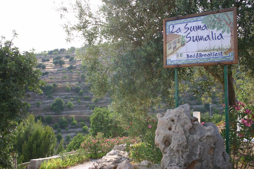 La Suma Sumalia
