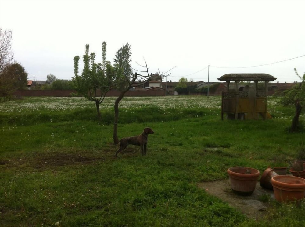 Photo 22
