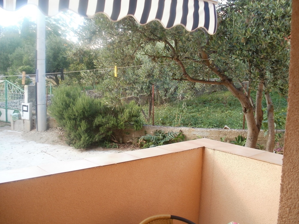 Photo 51