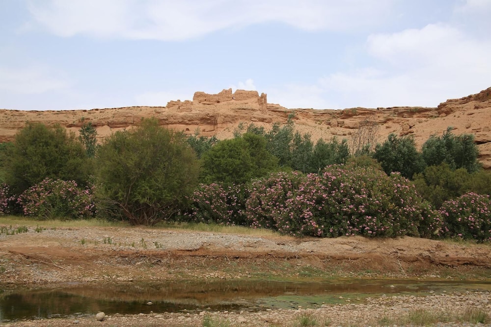 Maison d'hôte Tizwiyate Dades