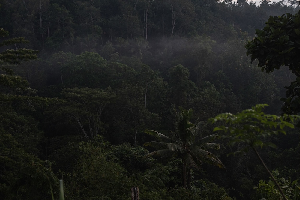 Belalu Bali Boutique & Spa Experience