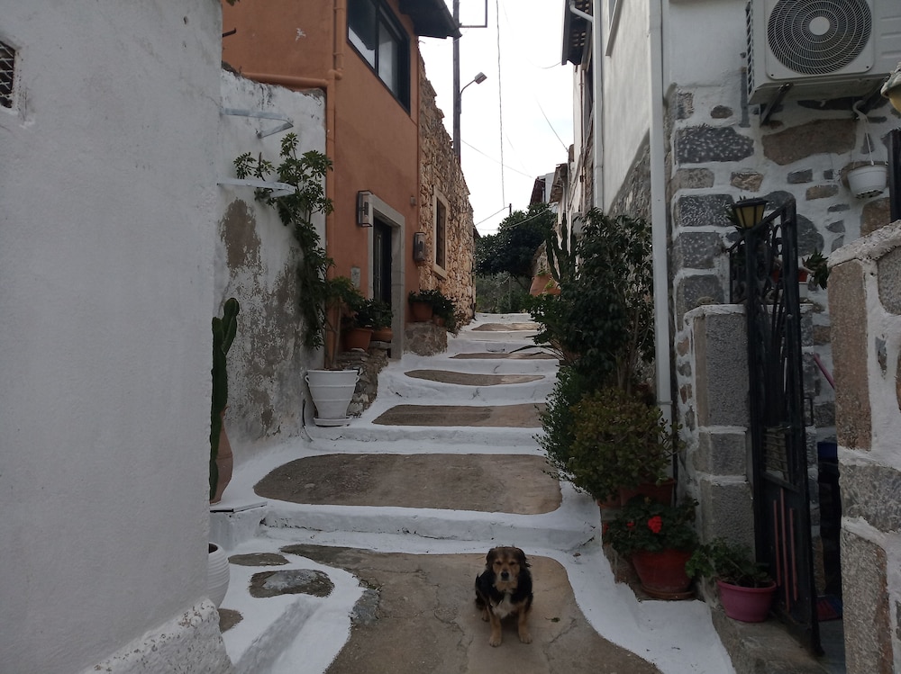 Nektarios Village House Near to Spinaloga view 4
