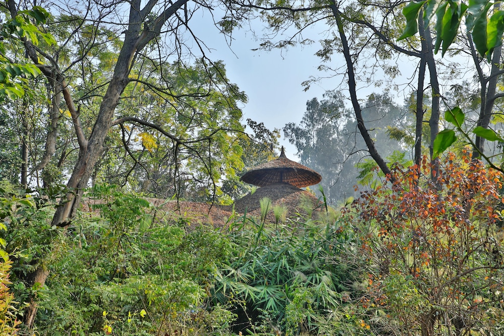 Jim's Jungle Retreat