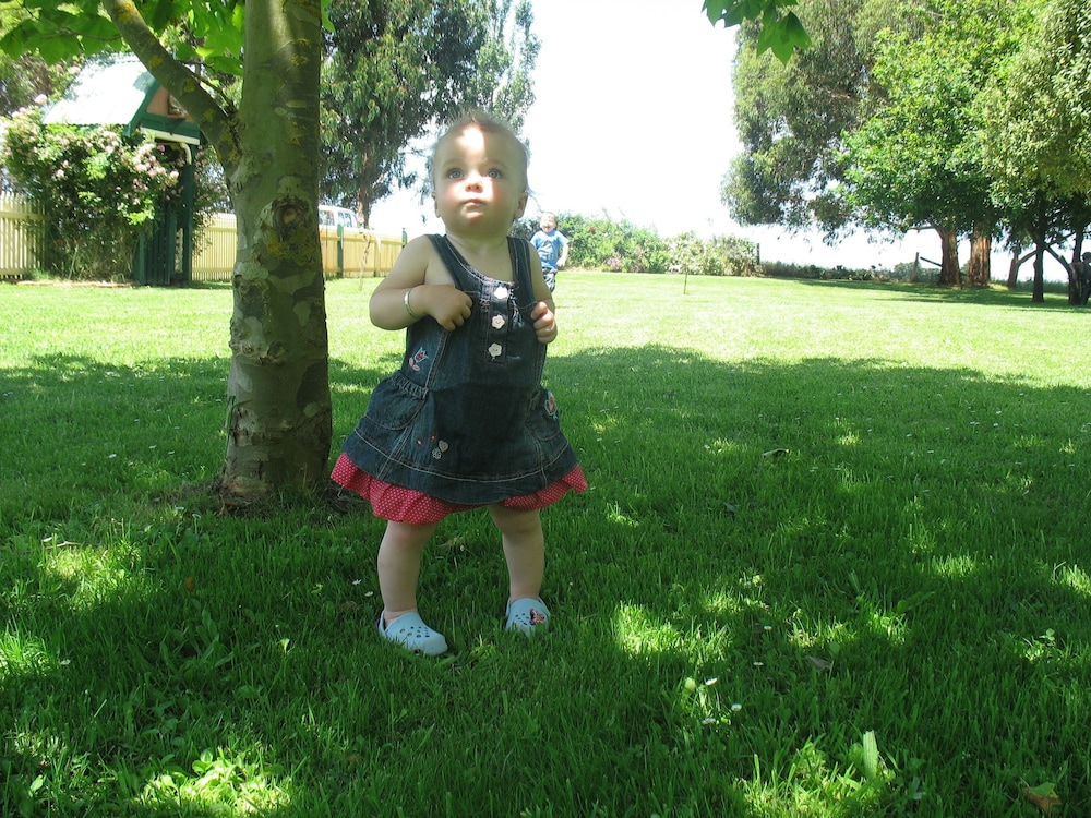 Photo 25