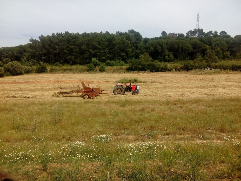 Can Barnosell - Els Masos d'en Coll