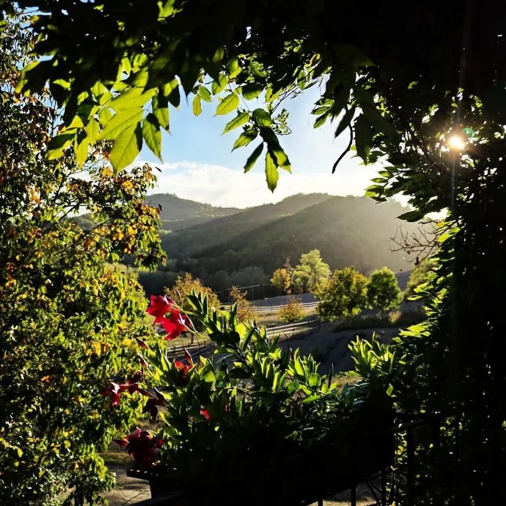 agriturismo il melo rosso