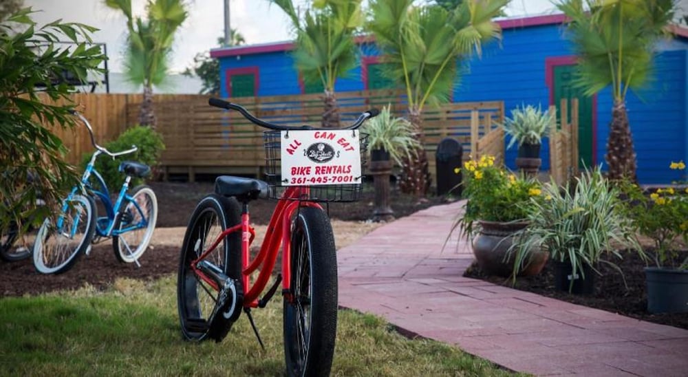 Camp Coyoacan