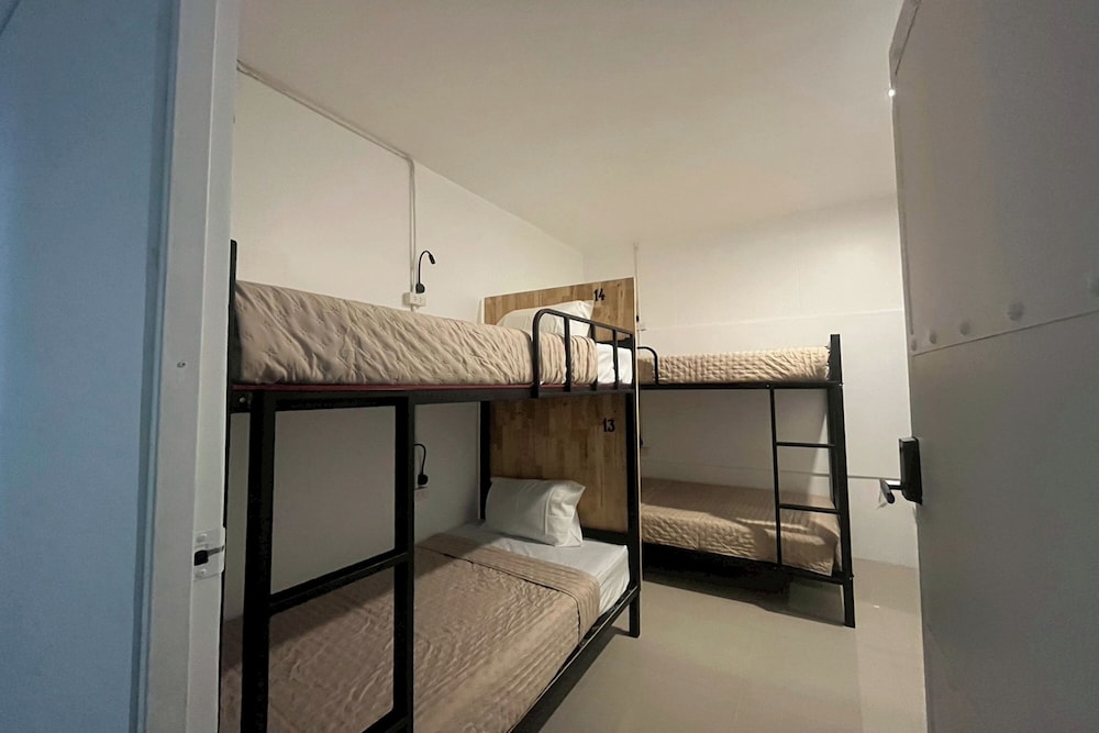 Lazy Lizard Hostel