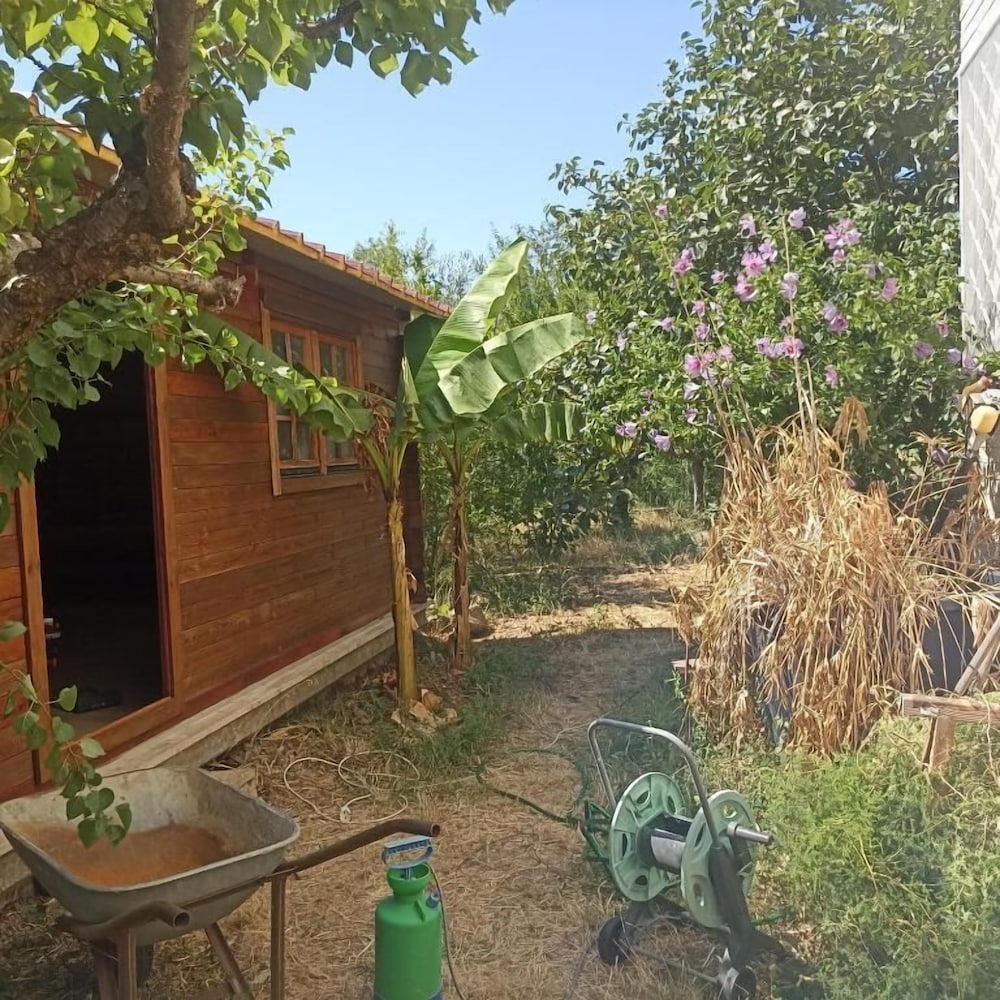 Ripe's Forest Garden Guest House, photo 15