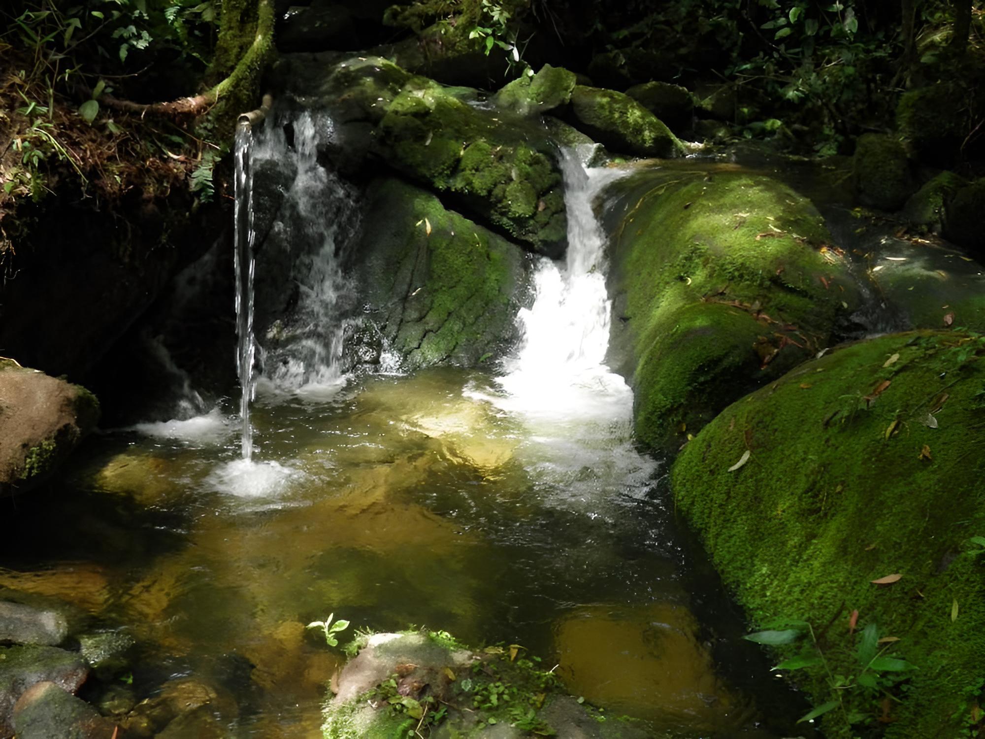 Photo 25