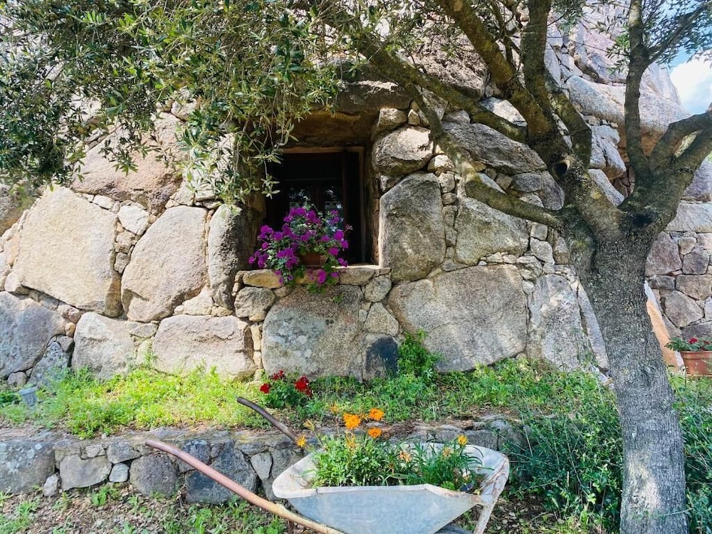 Photo 41