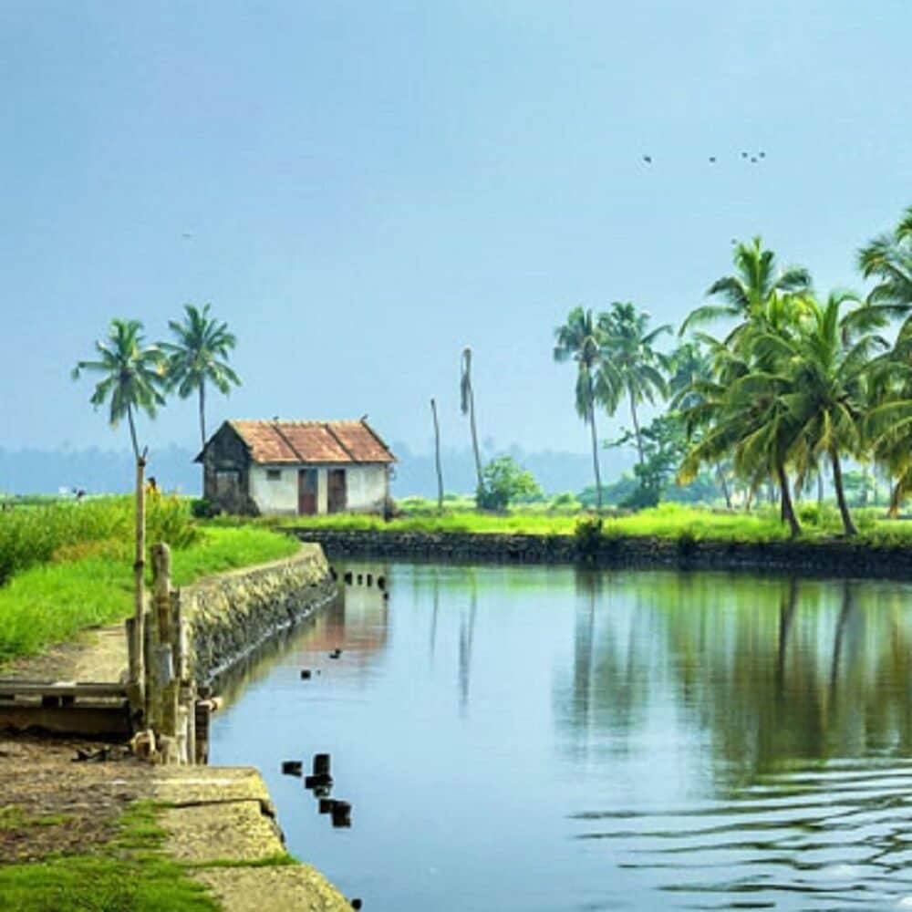 Eco House Boats - Alleppey Kerala
