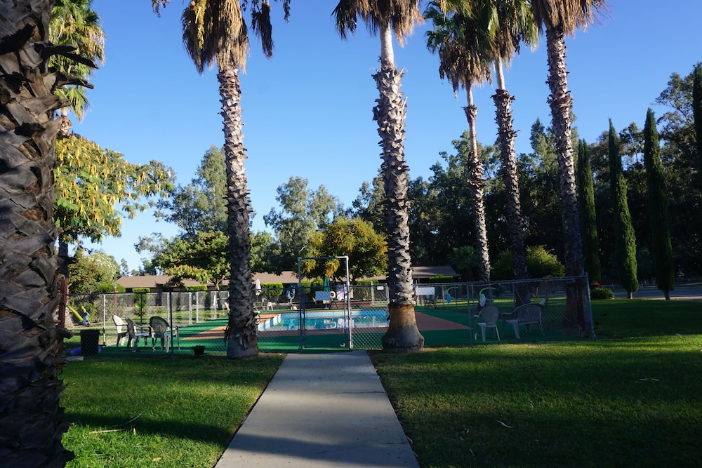 Willows Vacations - Blue Gum Motel - Property Image 35