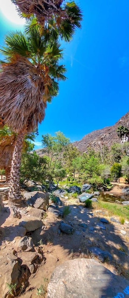 Ensenada Vacations - Rancho San Carlos Aguas Termales - Property Image 45