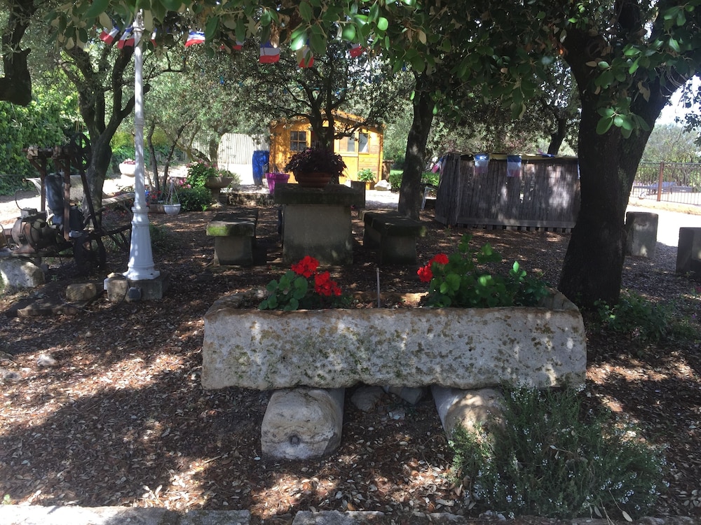 Photo 43