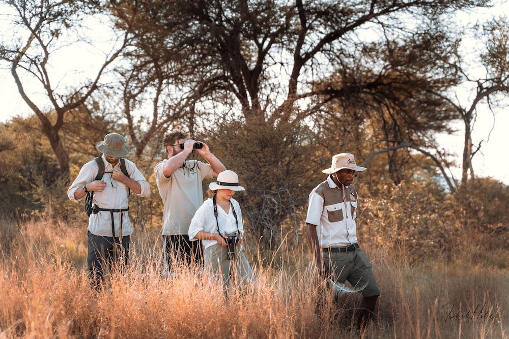 Gabus Safari Lodge