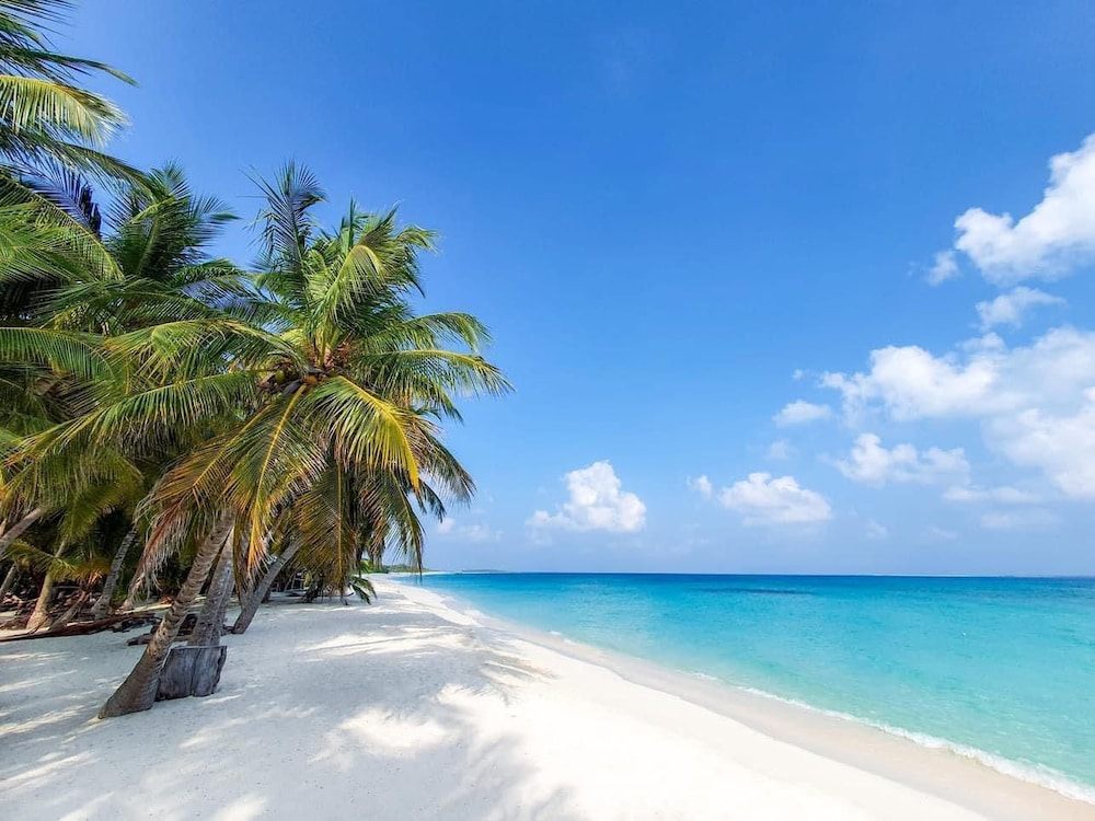 Blue Coral Vashafaru