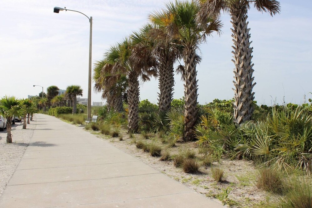 Pelican Gardens Studio 3 on Lido Key - Property Image 13