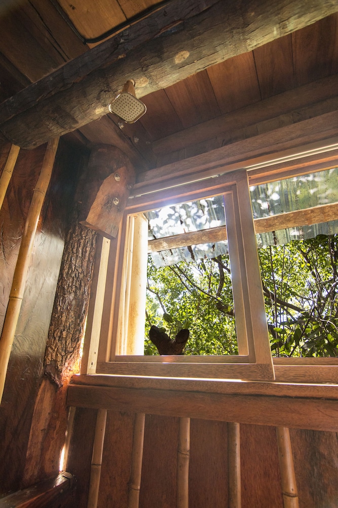 Cancun Vacations - Bambu Gran Palas Hostel Party - Property Image 19