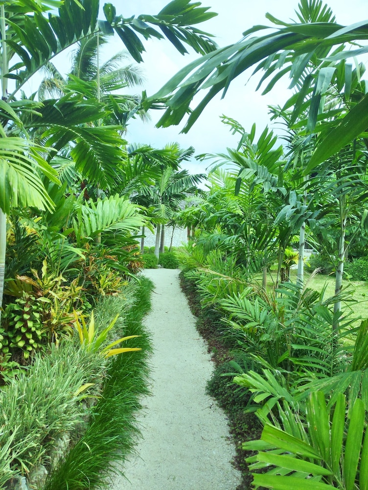 Tanna Evergreen Resort & Tours