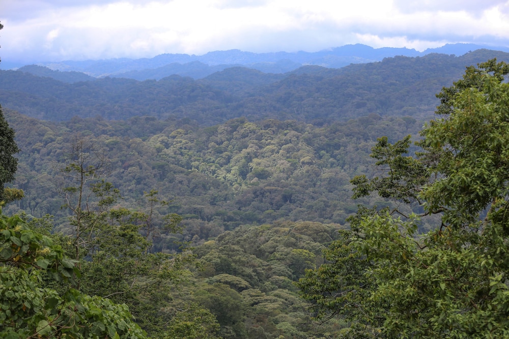 Gorilla Safari Lodge