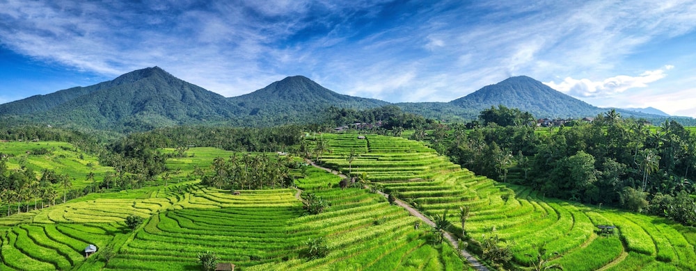 Hillside Eden Bali