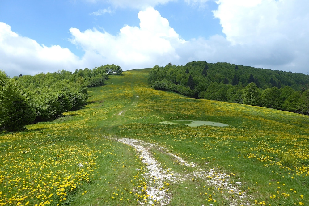 Chalet Fagarè