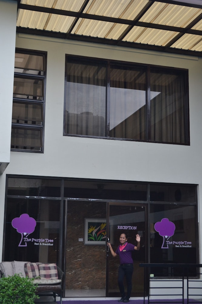 The Purple Tree Bed & Breakfast