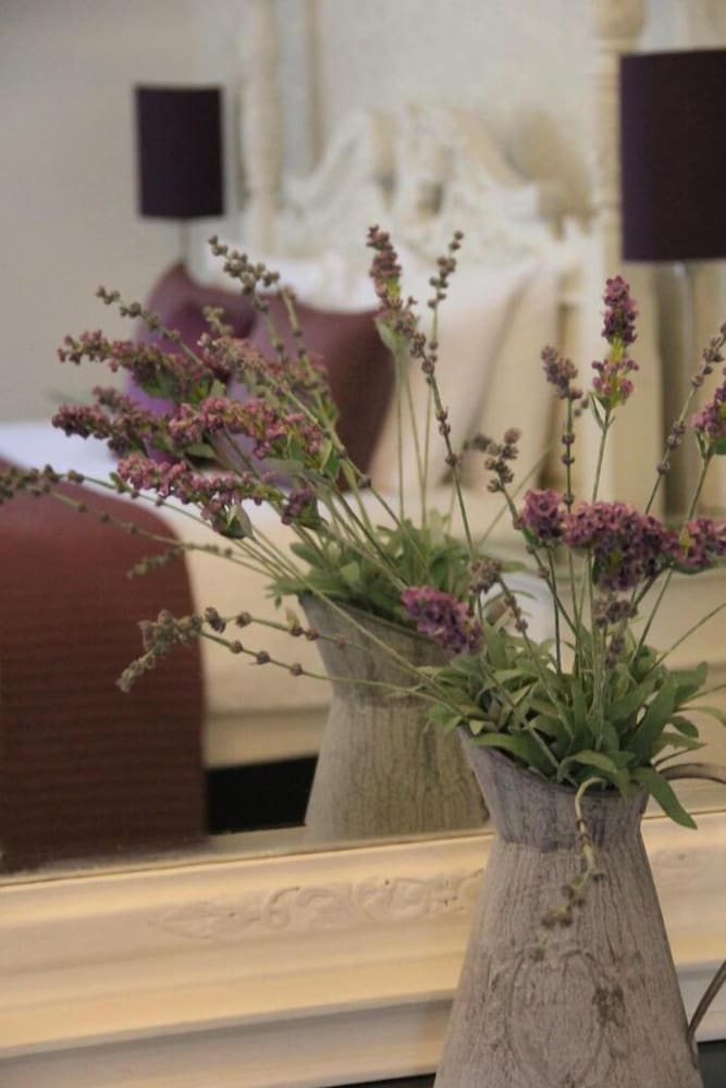 Yeovil Vacations - Northover Manor Hotel - Property Image 10