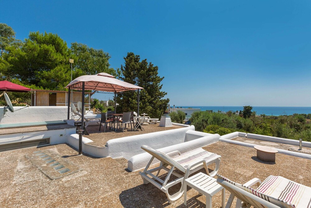 Pajara Annelies photo 2