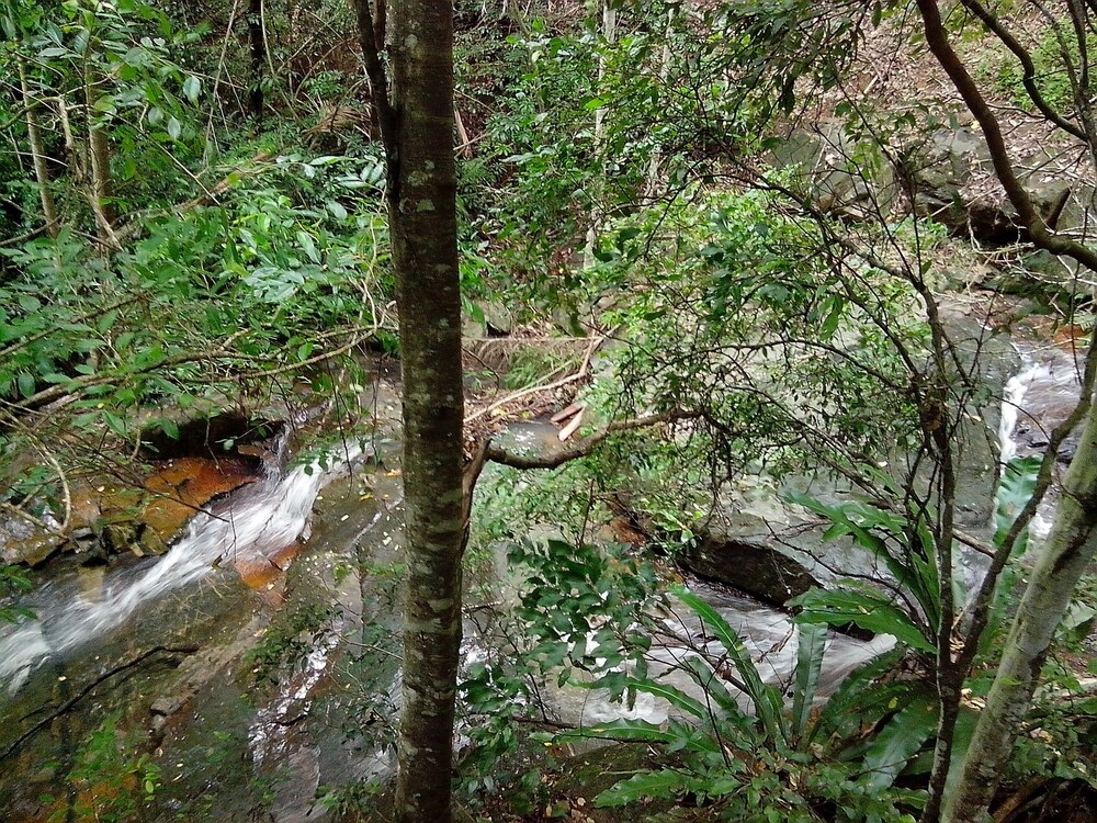 Mt Warning Rainforest Retreat view 3