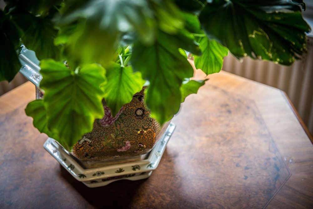 Slottshotellet i Kalmar — 11