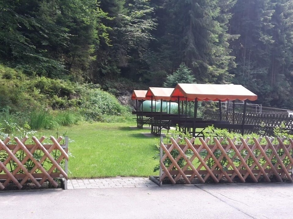 Photo 11