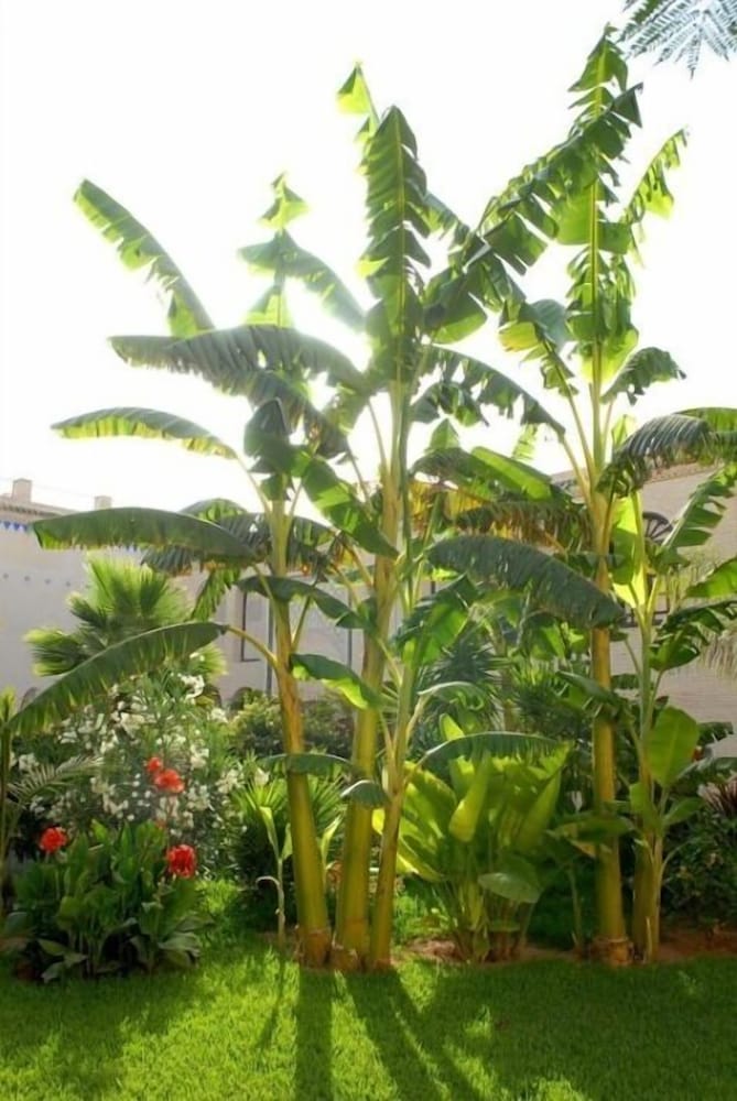 other