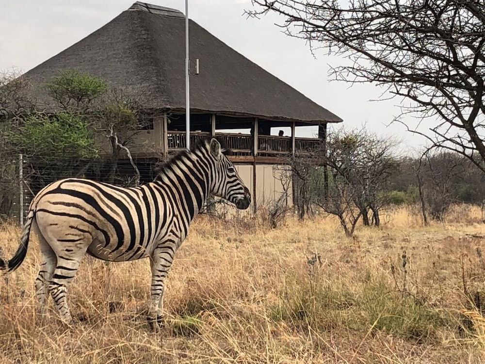 Tshikwalo Game Lodge