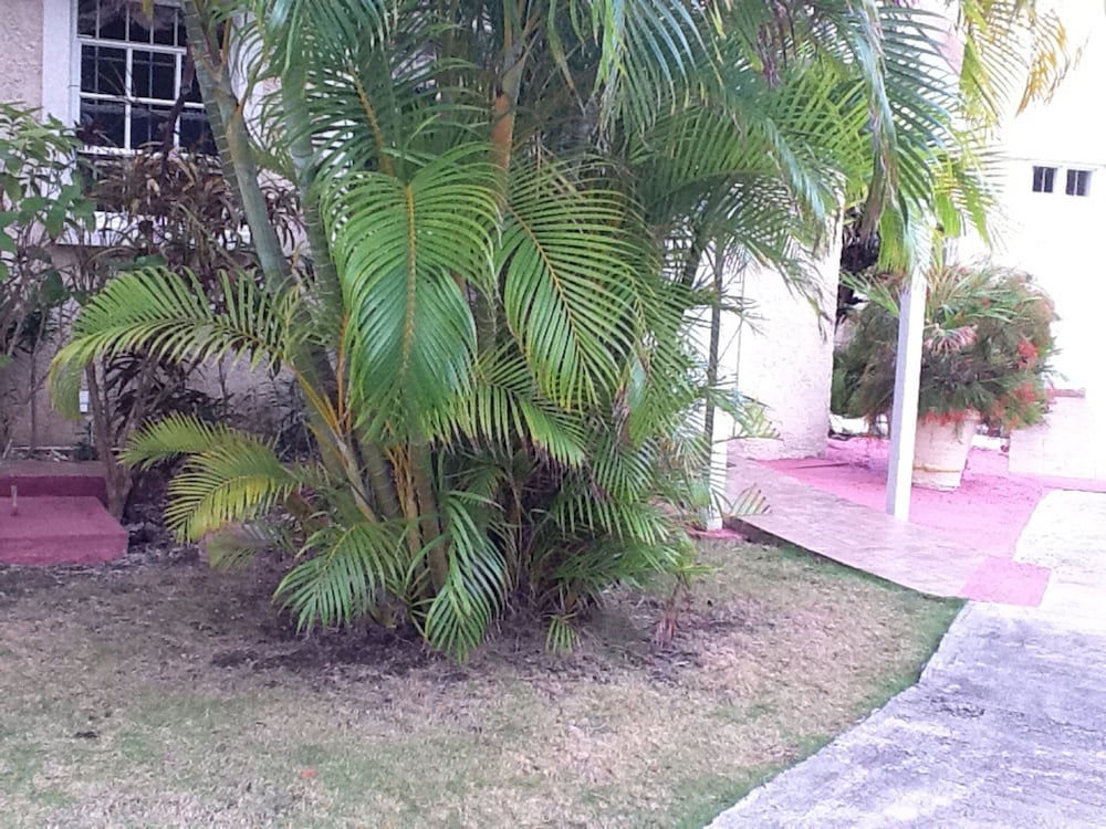 Seabliss Villa