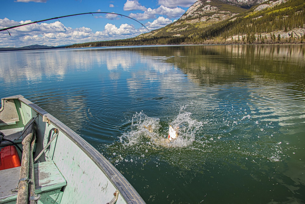 Little Atlin Lodge