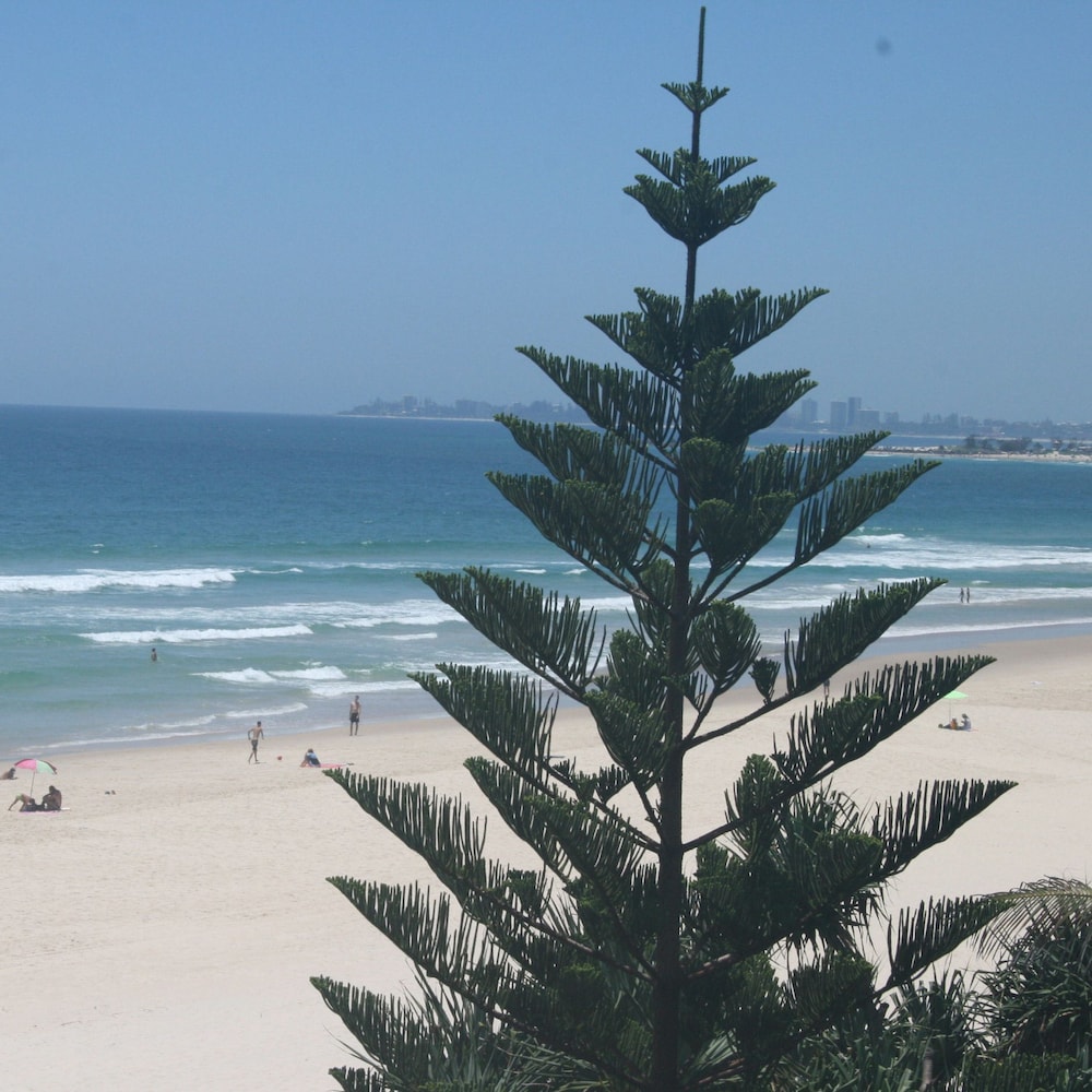 Surfers Horizons Resort