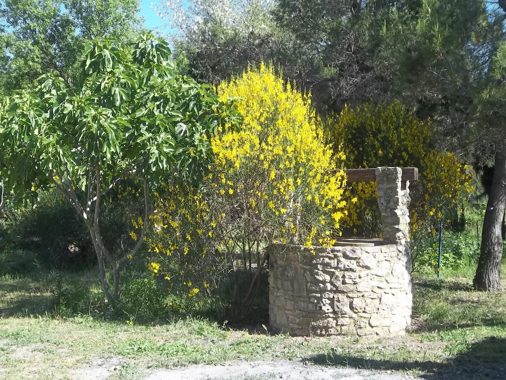 Le Petit Frigouye