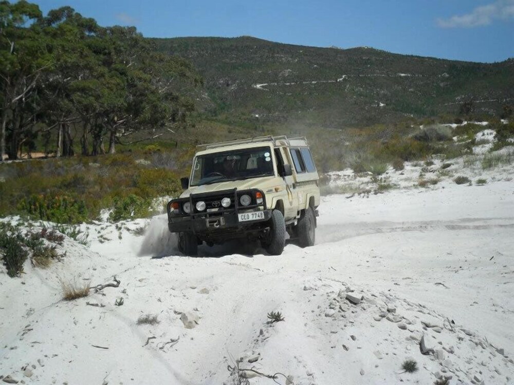 Tri Active Lodge