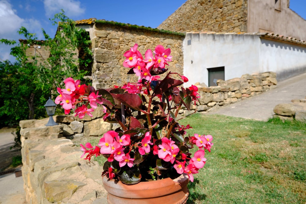 Can Muní - Pins