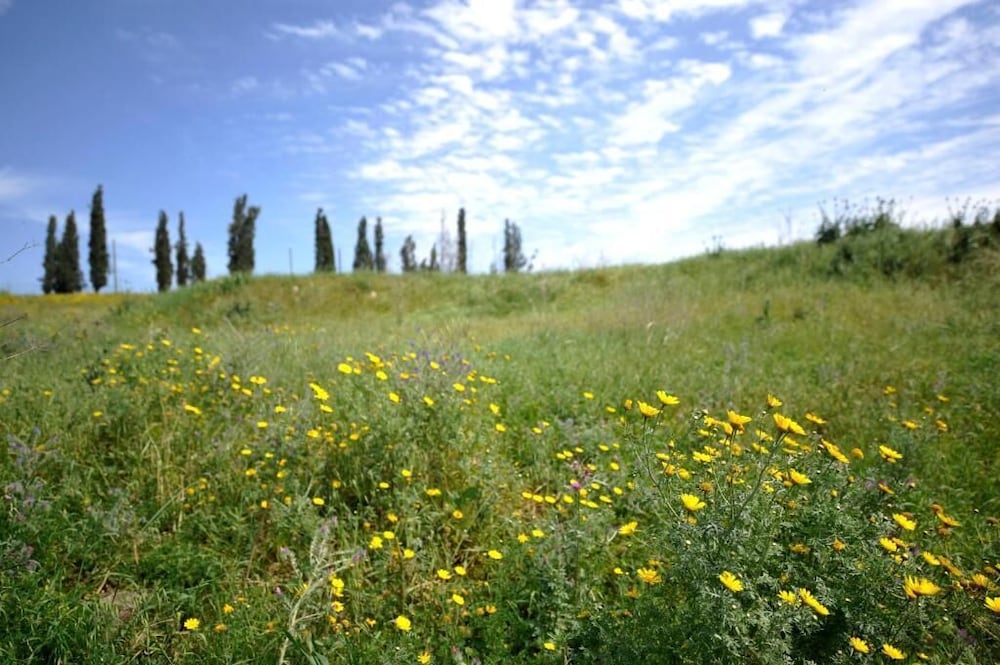 Photo 30
