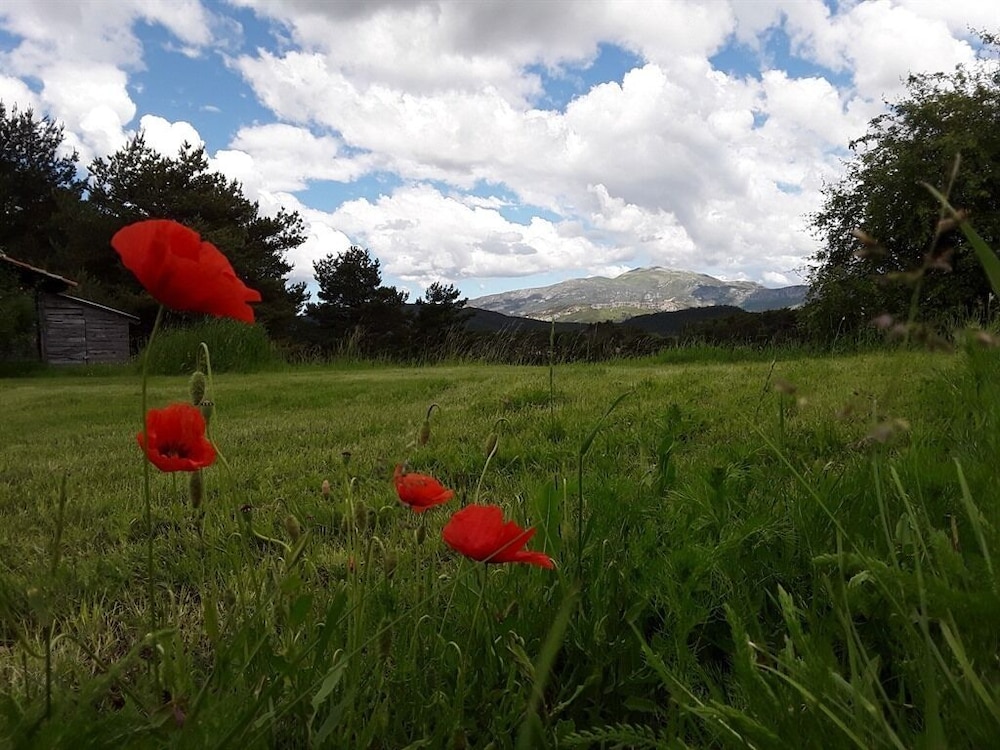 La Bastide des Pins